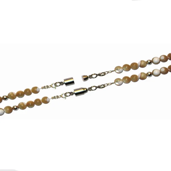 Magna Clasp