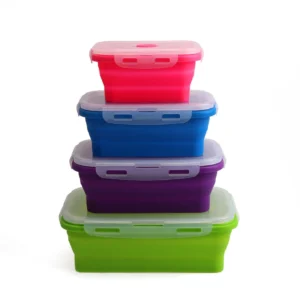 Silicone Food Storage Containers - Set of 4
