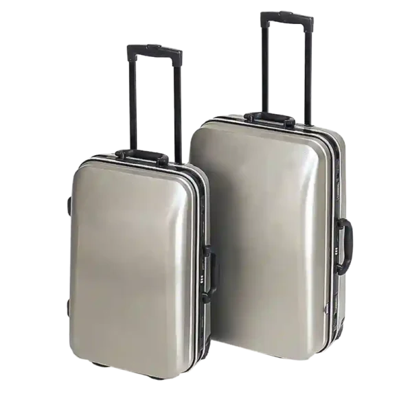2-Piece Designer Luggage